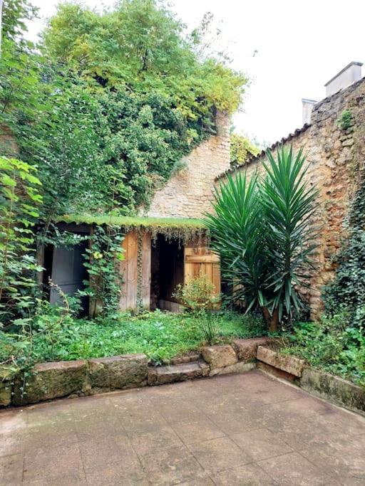 Le Patio - Cinelodge Avec Jardin Poitiers